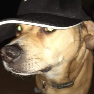 Meet your Posher, Christopher